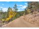 Dirt road winding through a landscape with trees showing off their golden fall colors at 13415 S Resort Dr, Conifer, CO 80433