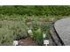 Close-up view of an herb garden featuring a variety of plants such as thyme, parsley, sage and rosemary at 4200 W 17Th Ave # 1013, Denver, CO 80204
