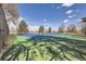 Outdoor tennis courts surrounded by lush trees, perfect for active living and recreational enjoyment at 4200 W 17Th Ave # 1013, Denver, CO 80204