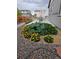 A garden with yellow flowering plants and large green leafy vegetables at 1868 Homestead Dr, Fort Lupton, CO 80621