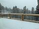 Snowy winter view of the forest from the cozy back porch at 33884 Bergen View Trl, Evergreen, CO 80439
