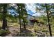 Exterior view of the house, showcasing the elevated deck amidst lush greenery at 33884 Bergen View Trl, Evergreen, CO 80439