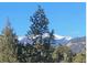Scenic view of evergreen trees and snow-capped mountains in the distance against a clear blue sky at 33884 Bergen View Trl, Evergreen, CO 80439
