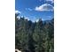 Stunning mountain views framed by lush green trees and a beautiful blue sky at 33884 Bergen View Trl, Evergreen, CO 80439