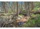 Peaceful creek flowing through the wooded property, enhancing the natural beauty and tranquility at 8722 S Ault Ln, Morrison, CO 80465