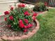 Beautifully landscaped yard featuring vibrant rose bushes and manicured lawn at 2235 W 46Th Ave, Denver, CO 80211