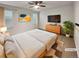 Comfortable staged primary bedroom with natural light, neutral carpet, and a ceiling fan at 4877 Cattle Cross Rd, Castle Rock, CO 80104