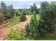 Landscaped lot with mature trees and a winding driveway at 9655 Morrison Rd, Lakewood, CO 80227