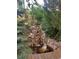 Charming backyard water feature with a pond and waterfall at 9655 Morrison Rd, Lakewood, CO 80227