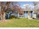 Charming blue home with a well-manicured lawn, flowering tree, and cozy front porch at 4040 Ames St, Wheat Ridge, CO 80212