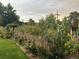 A lush garden is fenced in with sunflowers to enhance the beauty of this home at 4040 Ames St, Wheat Ridge, CO 80212