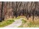 View of a path through a wooded area at 11241 E Cimmarron Dr, Englewood, CO 80111