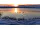 Stunning sunrise view of a lake with ducks on the water and a snow-covered bank at 11241 E Cimmarron Dr, Englewood, CO 80111