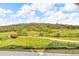 Picturesque view of green fields, a wooded area, and a charming bridge on a sunny day at 4418 Soapberry Pl, Castle Rock, CO 80108