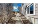 Landscaped side yard with a pathway leading to a fenced backyard, featuring mature trees and natural light at 1229 Berganot Trl, Castle Pines, CO 80108