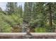 Picturesque stream view from a bridge with lush vegetation all around at 1774 Upper Bear Creek Rd, Evergreen, CO 80439