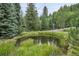A serene backyard pond is surrounded by lush greenery and towering trees at 1774 Upper Bear Creek Rd, Evergreen, CO 80439