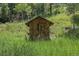 Small shed with rustic charm nestled in tall grass providing storage and character to the property at 1774 Upper Bear Creek Rd, Evergreen, CO 80439