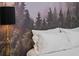 Detailed view of a bedroom's headboard with soft pillows and a scenic forest-themed wallpaper at 1898 S Bannock St # 209, Denver, CO 80223