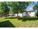 Well-maintained backyard featuring green grass, shady trees, and a view of the home's exterior at 505 Maple St, Golden, CO 80403