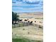 Spacious backyard with yaks grazing in a fenced pasture at 2543 Eastview Dr, Castle Rock, CO 80104