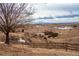 Scenic view of rolling hills and distant mountains at 2543 Eastview Dr, Castle Rock, CO 80104