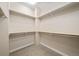 Spacious walk-in closet with built-in shelving and ample storage space for clothes and accessories at 160 Pipit Lake Way, Erie, CO 80516