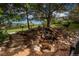 Scenic backyard water feature with natural stone accents and lush landscaping at 171 October Pl, Castle Rock, CO 80104
