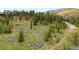 Serene home nestled among lush trees with expansive green space throughout the property and mountain views at 805 Highfield Trl, Breckenridge, CO 80424