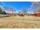 Large backyard featuring a grass lawn, with a patio and deck next to the home, plus a pergola at 3680 S Glencoe St, Denver, CO 80237