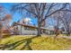 Well-kept ranch-style house with fresh exterior paint, mature trees, and a cozy, inviting front yard at 3680 S Glencoe St, Denver, CO 80237