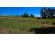 Large grass-covered backyard with mature trees, offering a peaceful and private outdoor space at 40477 Ferns Rd, Elizabeth, CO 80107