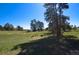 Expansive backyard with lush green grass, mature trees, and serene natural surroundings, perfect for outdoor activities at 40477 Ferns Rd, Elizabeth, CO 80107
