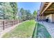 Well-maintained backyard with green lawn, wooden fence, and access to the lower level at 58 Rogers Ct, Golden, CO 80401
