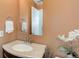 Half bathroom featuring an earth-toned paint, a single vanity, and a decorative plant at 5546 S Quemoy Cir, Aurora, CO 80015