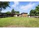 Spacious backyard with lush green lawn, mature trees, and a view of the home's exterior at 1380 Holly E Dr, Broomfield, CO 80020
