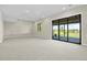 Spacious carpeted basement featuring a large sliding glass door with scenic backyard views at 10205 Inspiration Dr, Parker, CO 80138