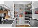 Well-organized pantry with ample shelving and counter space at 10205 Inspiration Dr, Parker, CO 80138