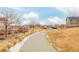 Sidewalk access winds through the neighborhood with native grasses and young trees at 27957 E 9Th Dr, Aurora, CO 80018