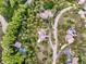 Aerial view of a wooded property with multiple homes along a winding road at 207 Kelly E Rd, Boulder, CO 80302