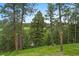 Lush forest and meadow in a natural outdoor setting at 207 Kelly E Rd, Boulder, CO 80302