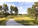 Paved path alongside a grassy area with scattered trees under a bright sky at 20145 E Fair Ln, Centennial, CO 80016