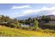 Scenic view of the pond surrounded by lush greenery and the neighborhood homes in the distance at 20145 E Fair Ln, Centennial, CO 80016