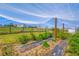 Sheltered garden growing crops with fencing in the background at 36023 Winchester Rd, Elizabeth, CO 80107