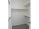 Bright walk-in closet featuring neutral carpet and built-in shelving for optimal organization at 12317 W Gould Ave, Littleton, CO 80127
