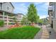 Landscaped backyard featuring a well-maintained lawn and patio area at 9157 Rio Lado St, Littleton, CO 80125