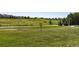 Enjoy disc golf at this neighborhood park, with a basket visible on a well-maintained green lawn at 15446 Coopers Hawk Way, Parker, CO 80134