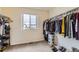 Organized walk-in closet with ample shelving, hanging space, and a window for natural light at 4807 River Highlands Loop, Elizabeth, CO 80107