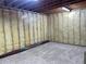 Unfinished basement featuring exposed insulation and framing with carpeted area at 690 Antelope Dr, Bennett, CO 80102