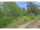 Land with various trees and brush behind the home at 9745 Hilldale Dr, Morrison, CO 80465